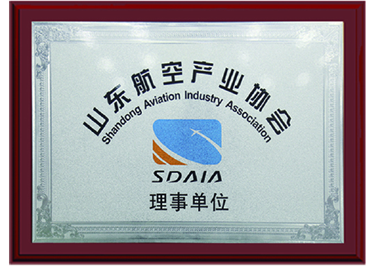 山東航空產(chǎn)業(yè)協(xié)會(huì)