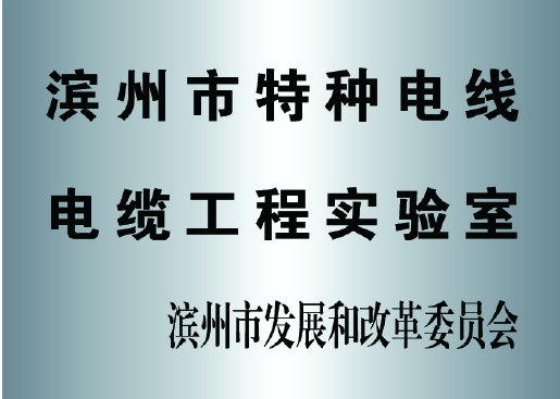 濱州市特種電線電纜工程實(shí)驗(yàn)室