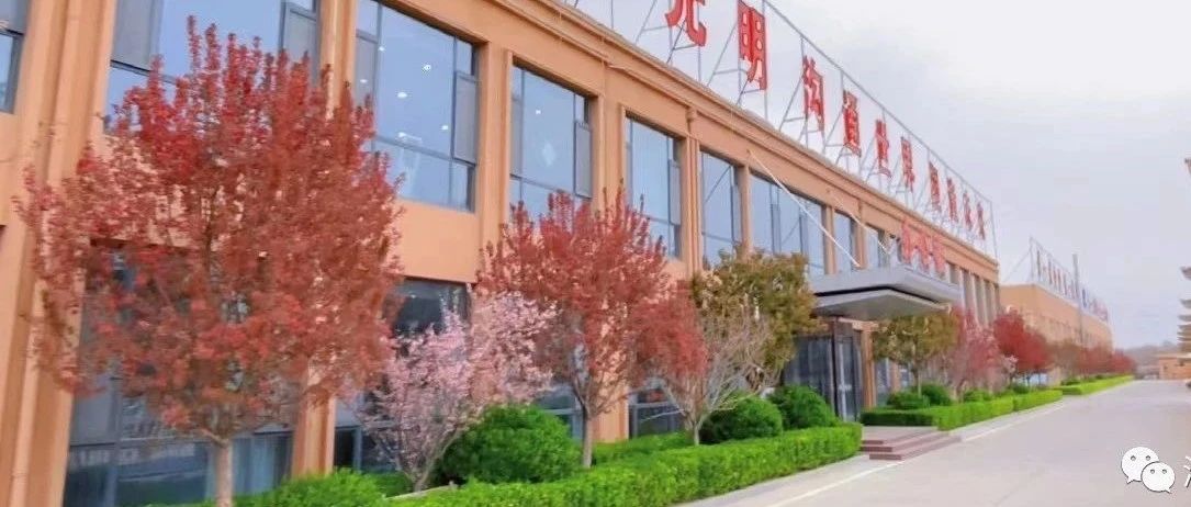 喜報！濱澳線纜公司首次成功獲得能源管理體系認證證書